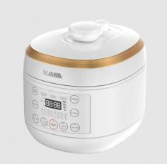 Electric Pressure Cooker