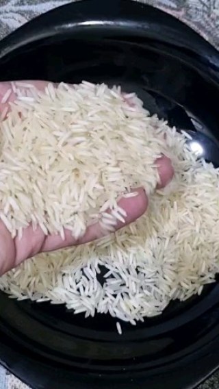 Rice