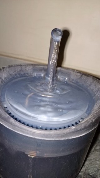 Water